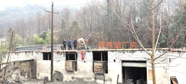 电力法实施条例中规定11千伏多少米不能建房(八戒！二楼去不得)
