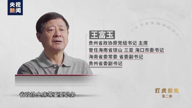 徐子阳个人资料(电视专题片《零容忍》第二集《打虎拍蝇》)