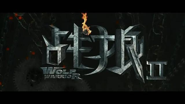 战狼2(战狼2（电影）)