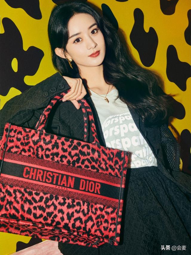 迪奥托特包真假鉴别(从细节看真假（上）| DIOR BOOK TOTE手袋)