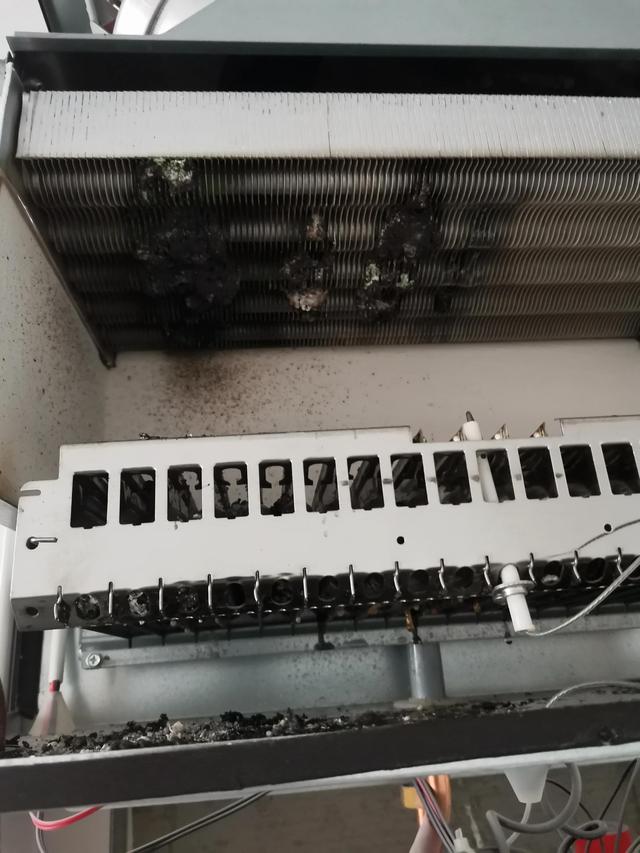 京东自营店有假货吗 有的东西怎么那么便宜(京东自营卖假货为赚钱无底线)