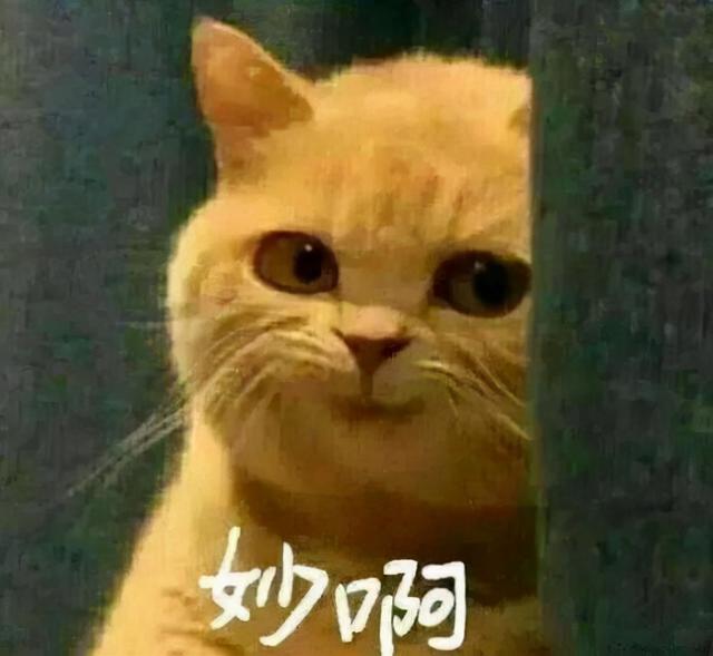 开个美甲店需要多少钱(福建某大学6名女生利用课余时间，在寝室开美甲店，月入超2万)