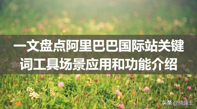 阿里巴巴网站首页显示有什么(一文盘点阿里巴巴国际站关键词工具场景应用和功能介绍)
