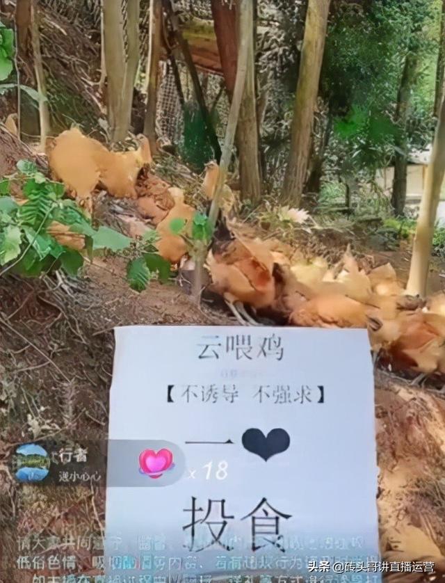 直播间装修设计(这样布置直播间场景，你根本不用憋单，人气照样上)