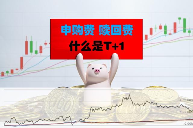 基金赎回是什么意思t+7(申购费与赎回费问题，什么是T+1，如果这样还不明白那就没办法了)
