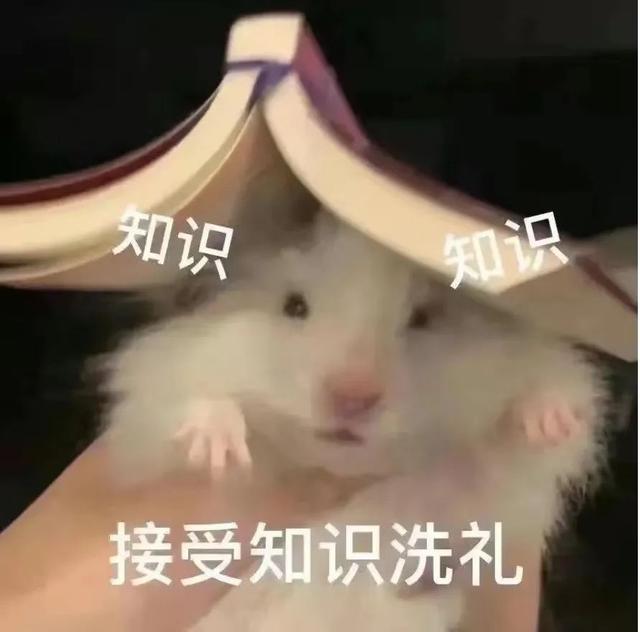 广东省职工带薪年休假实施细则(带薪年假怎么休？进来瞧瞧→)