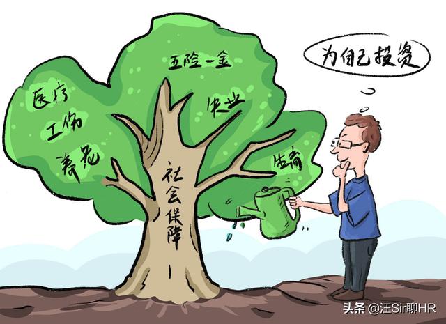 三险一金是哪三险一金(什么是五险两金？什么是三险一金？劳动者权益早知道)