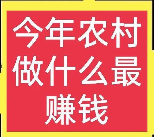 2022年适合农村创业的项目(2022年，农村火爆项目大分享)