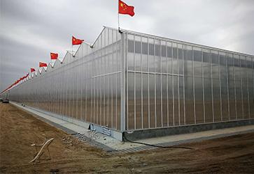 农村补助项目实施方案(福建省福安市农业温室大棚实施方案以及补助政策参考)