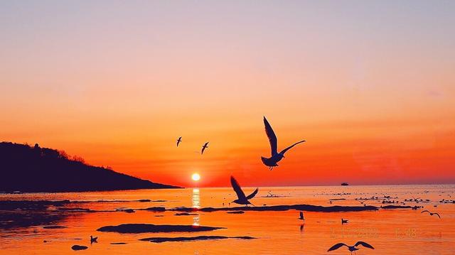 抖音热门话题怎么蹭热点(抖音短视频怎么快速上热门？怎样才能高效蹭热点？)