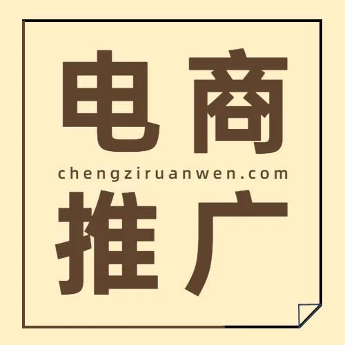 电商的推广方式(电商推广都有什么渠道)