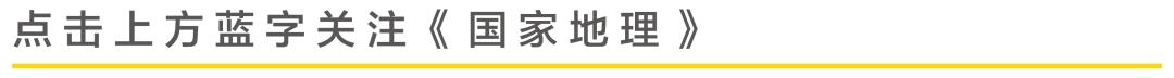 一公里多少步微信步数(我们为什么着迷运动？)