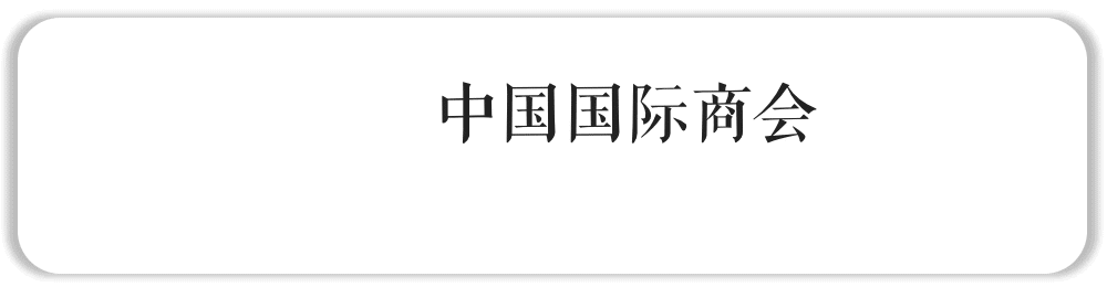 跟单信用证风险(跟单信用证统一惯例关于电子交单的附则（EUCP）（版本2.0）)