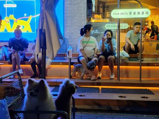 深圳宠物用品批发市场在哪(实现携宠逛街吃饭自由，深圳宠物友好专区受欢迎)