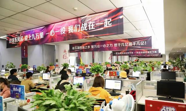 拼多多试用后怎么办(商家重新认识“双十一”，品牌认知提升比成交额数字更重要)