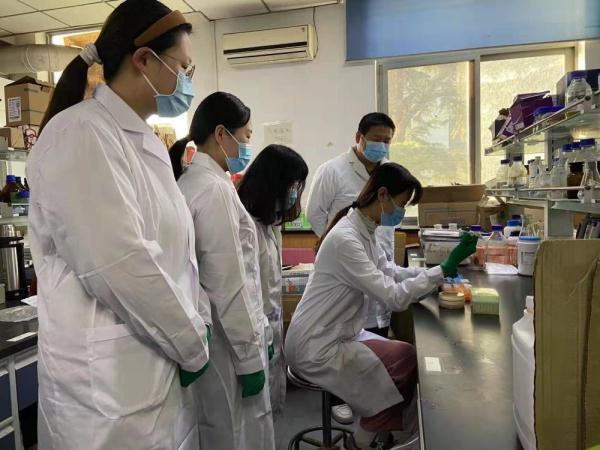 益生菌对肠道的作用(新研究：健康的肠道菌群可维持患者免疫力预防新冠病毒入侵肠道)