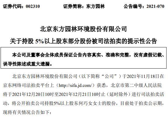 京东拍卖网司法拍卖(东方园林：股东何巧女持有的1.37亿股将被司法拍卖)