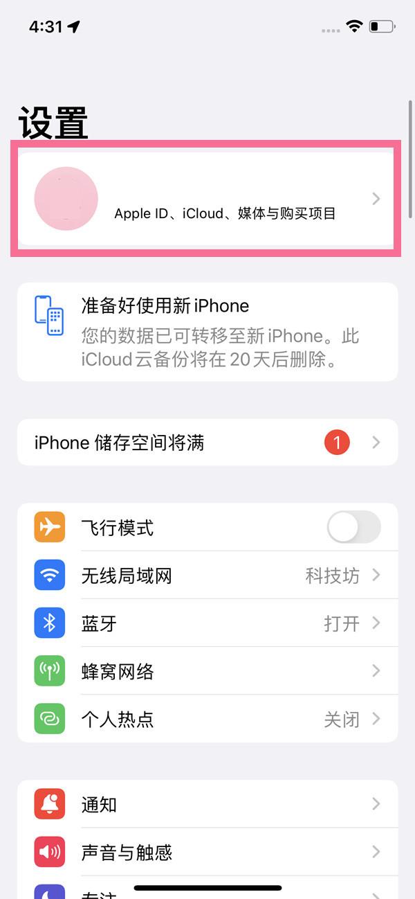 ios如何取消自动续费(苹果手机怎么关闭爱奇艺自动续费 苹果手机取消爱奇艺扣费步骤)