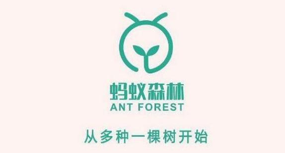 保护罩怎么获取(支付宝蚂蚁森林嗷呜保护罩在哪里领取 嗷呜保护罩是免费领吗)