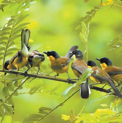 73.7厘米的腰围是多少尺(自然保护小区守护大自然)