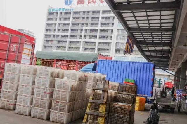 东莞虎门服装批发市场在哪里(虎虎生威开新局｜虎门最大农批市场八成档口已开门营业)