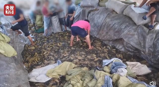 餐饮好评幽默回复范本可以复印(热搜第一！康师傅、统一、肯德基、今麦郎、白象深夜回应)