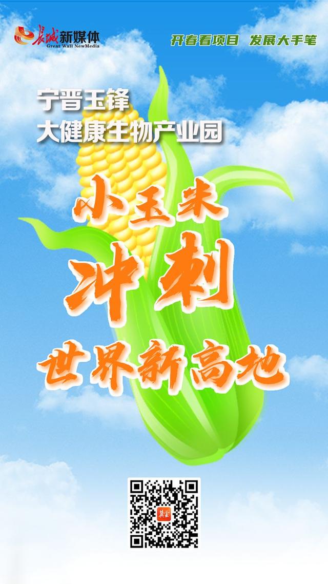 农村小工厂暴利玉米深加工(开春看项目 发展大手笔丨宁晋玉锋大健康生物产业园：小玉米冲刺世界新高地)