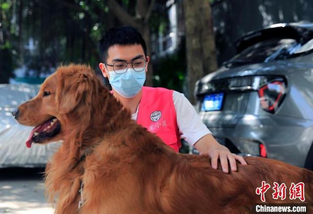 什么工作能在家里做(免费吸猫撸狗还能赚钱？新兴职业“宠护师”成都走俏)